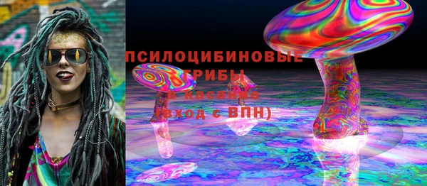 трава Арсеньев