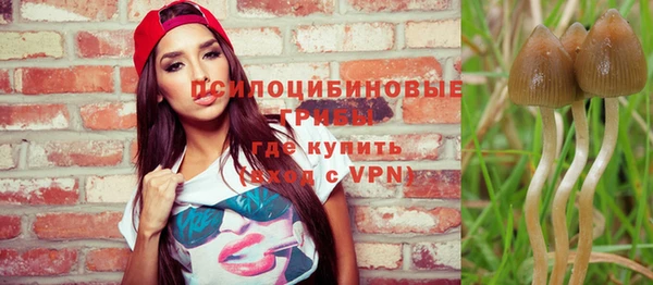 спайс Армянск